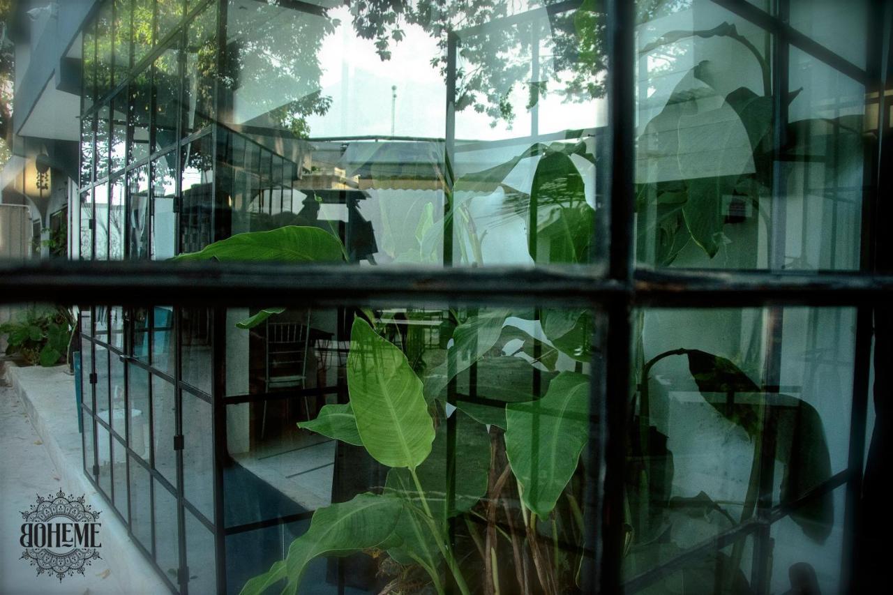 Radio Tulum Hotel Zewnętrze zdjęcie