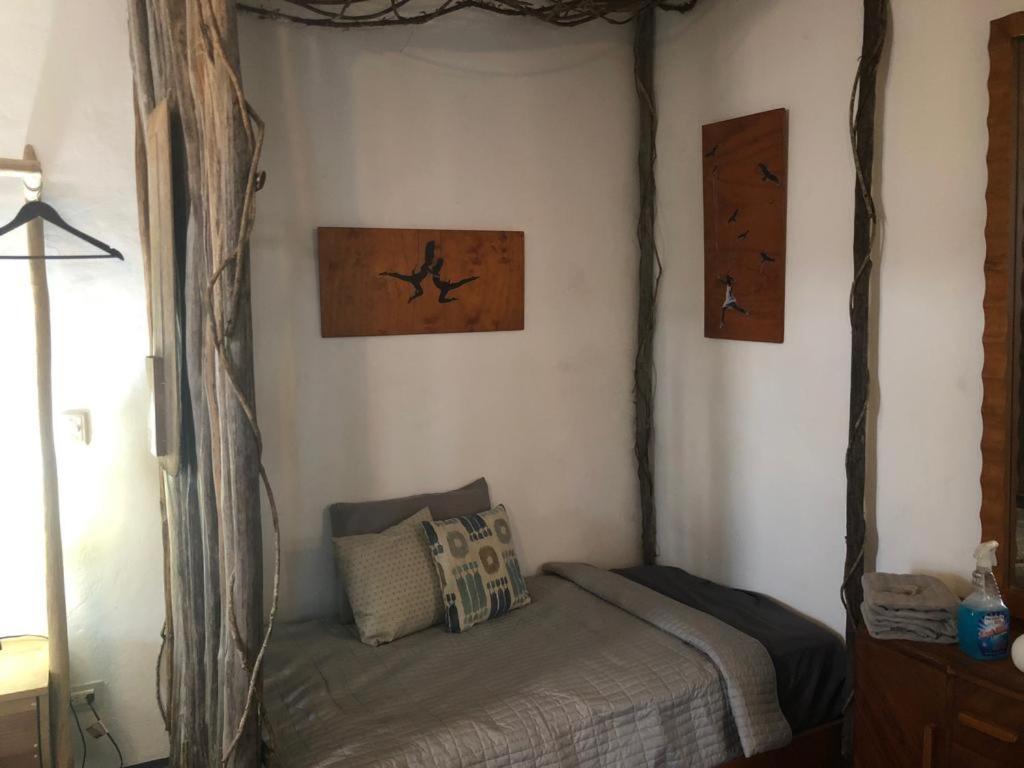 Radio Tulum Hotel Zewnętrze zdjęcie